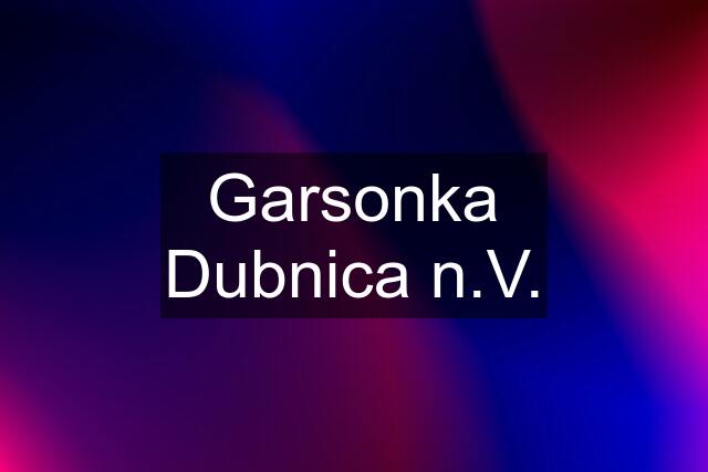 Garsonka Dubnica n.V.