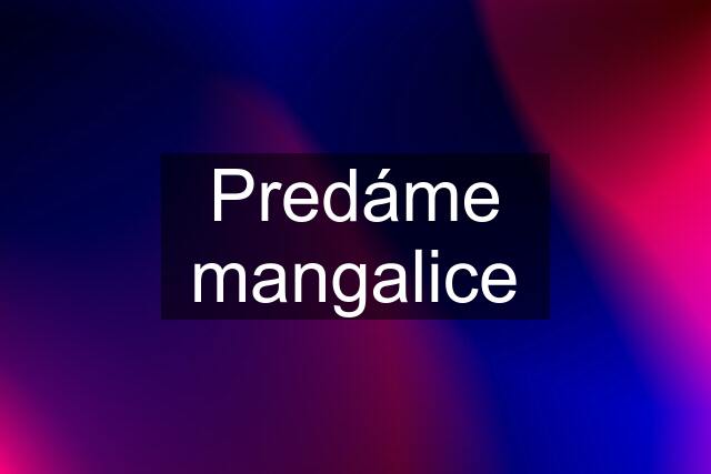 Predáme mangalice