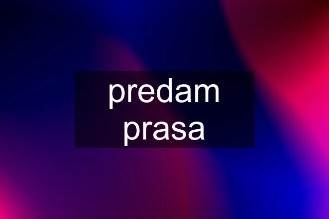 predam prasa