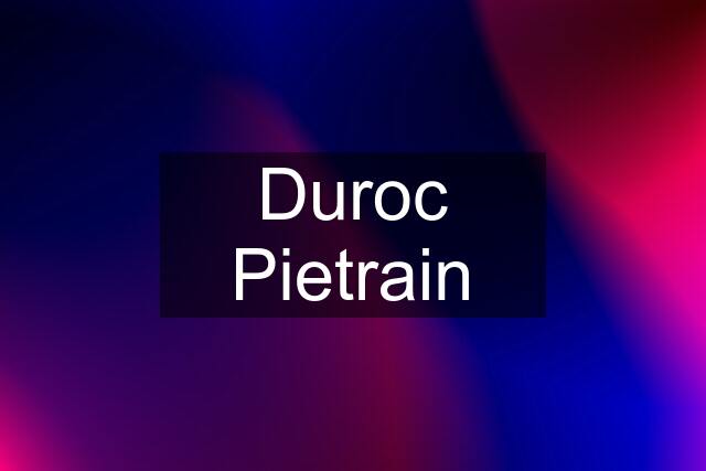 Duroc Pietrain