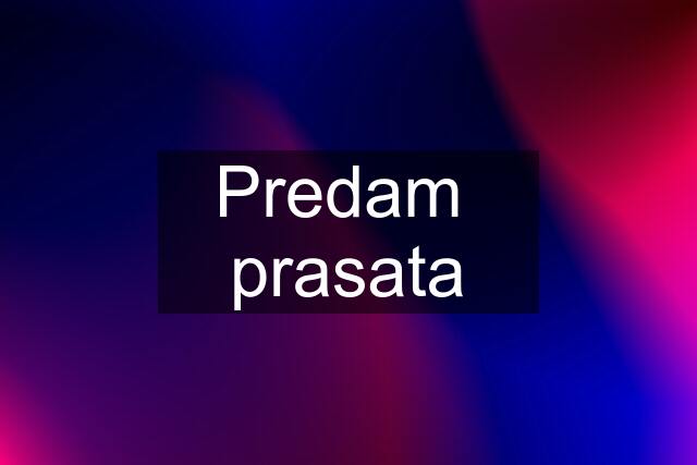 Predam  prasata