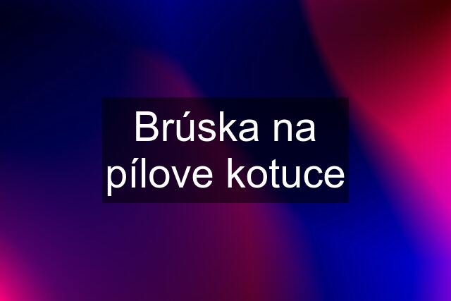 Brúska na pílove kotuce