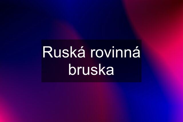 Ruská rovinná bruska