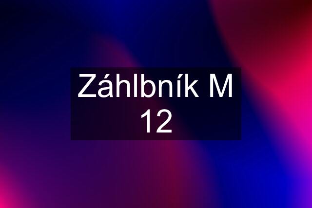 Záhlbník M 12