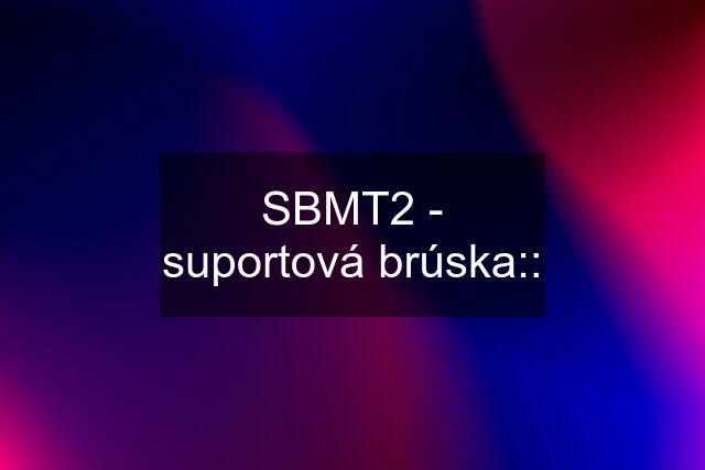SBMT2 - suportová brúska::