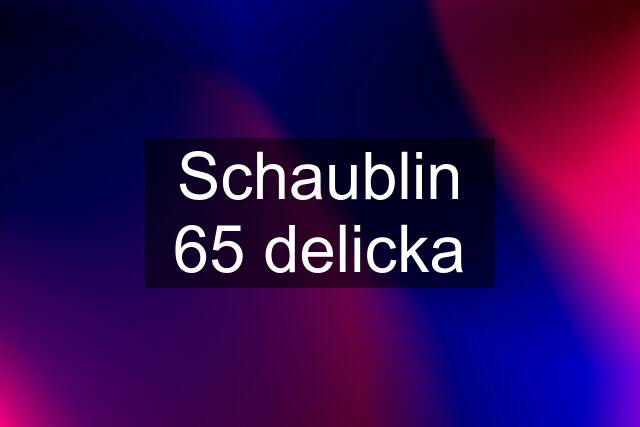 Schaublin 65 delicka