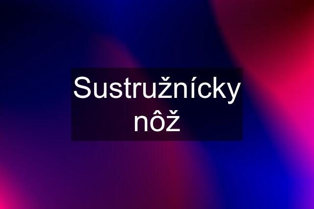 Sustružnícky nôž