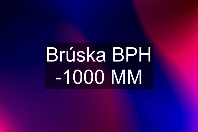 Brúska BPH -1000 MM