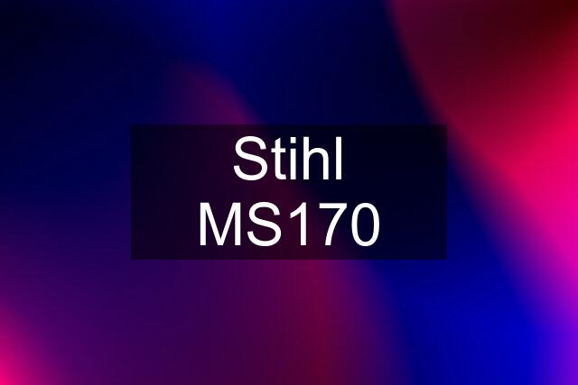 Stihl MS170