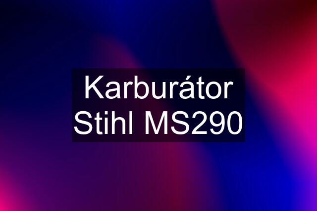 Karburátor Stihl MS290