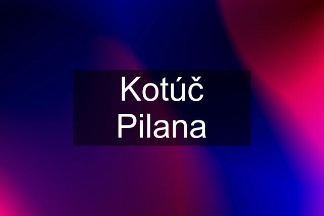 Kotúč Pilana