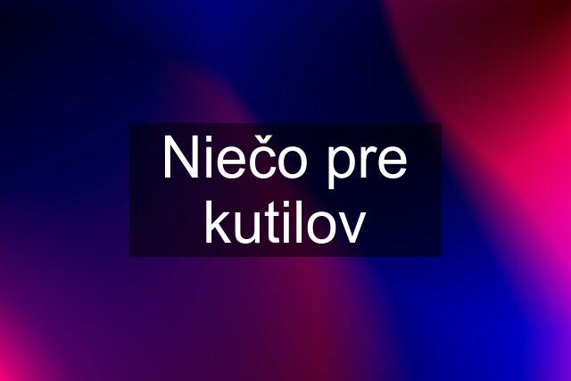 Niečo pre kutilov