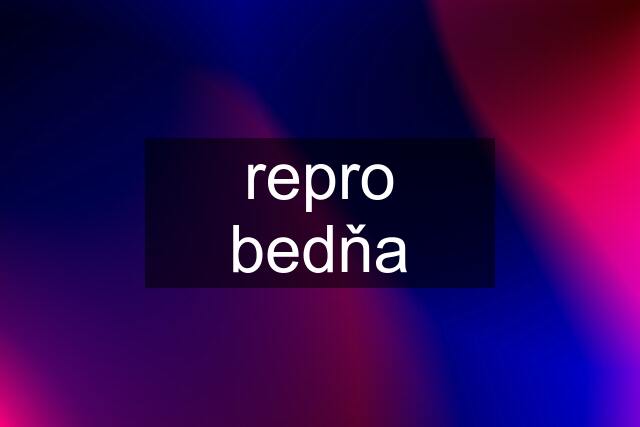 repro bedňa