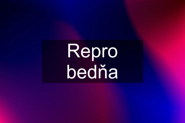 Repro bedňa