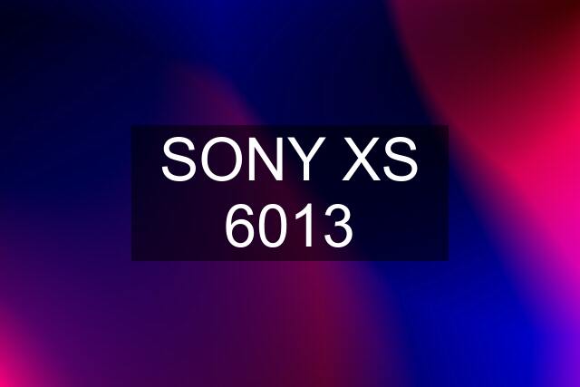 SONY XS 6013