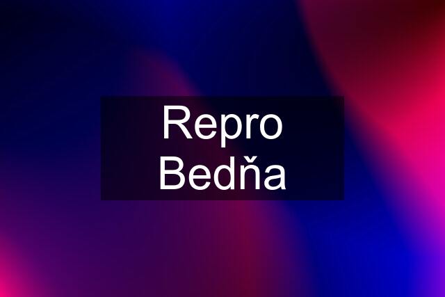 Repro Bedňa