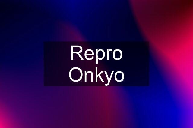 Repro Onkyo