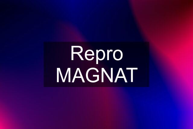 Repro MAGNAT