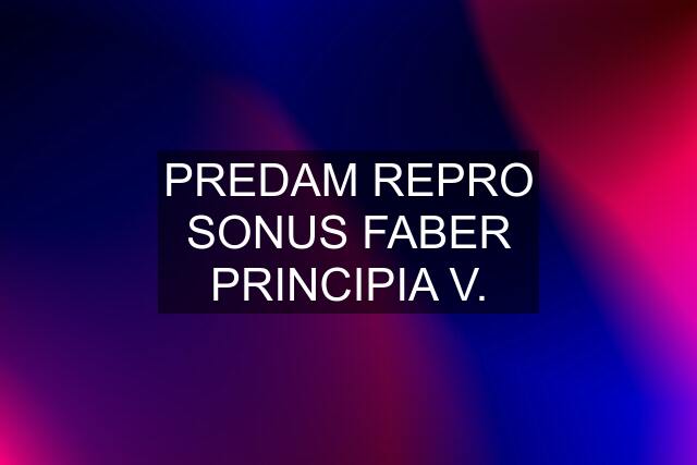 PREDAM REPRO SONUS FABER PRINCIPIA V.