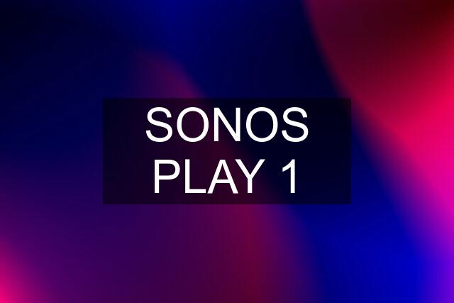 SONOS PLAY 1