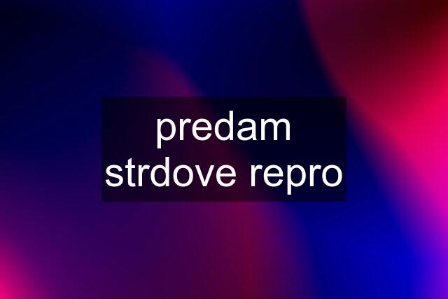 predam strdove repro