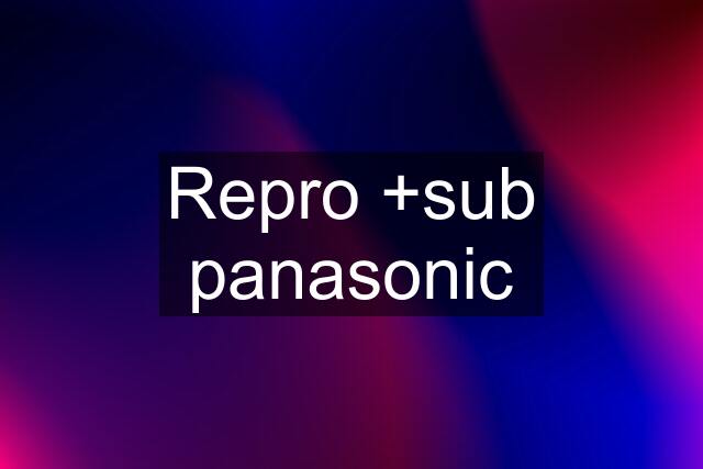 Repro +sub panasonic