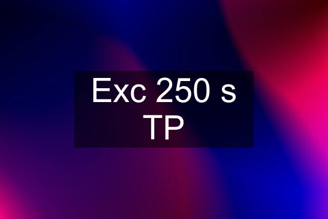 Exc 250 s TP