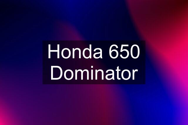 Honda 650 Dominator