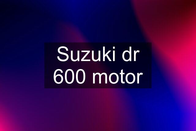 Suzuki dr 600 motor