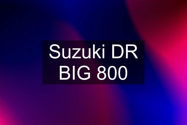 Suzuki DR BIG 800