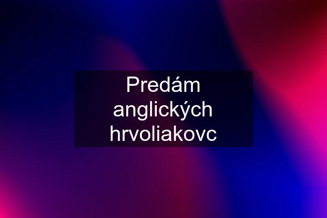 Predám anglických hrvoliakovc