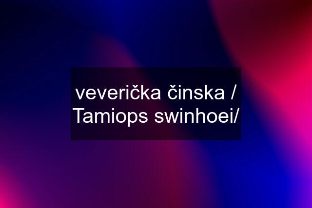 veverička činska / Tamiops swinhoei/