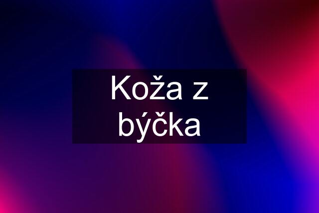 Koža z býčka