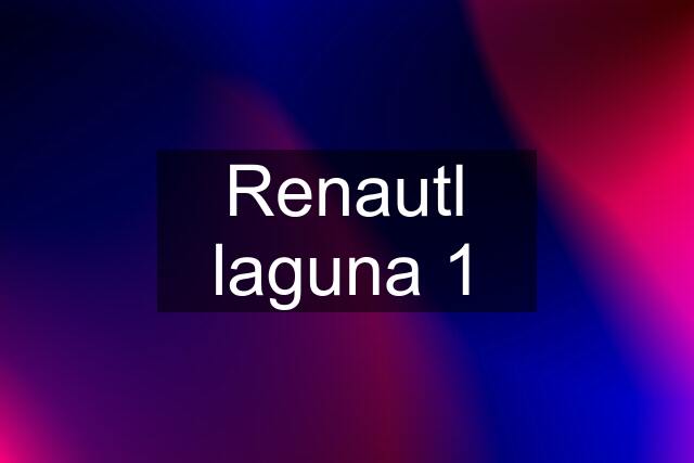 Renautl laguna 1