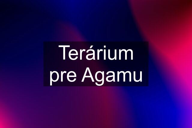 Terárium pre Agamu