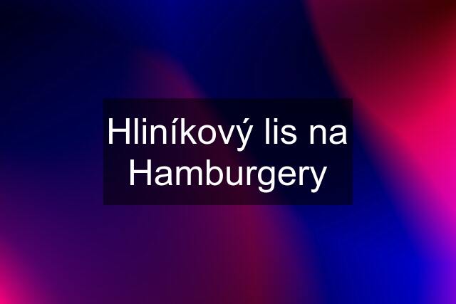 Hliníkový lis na Hamburgery