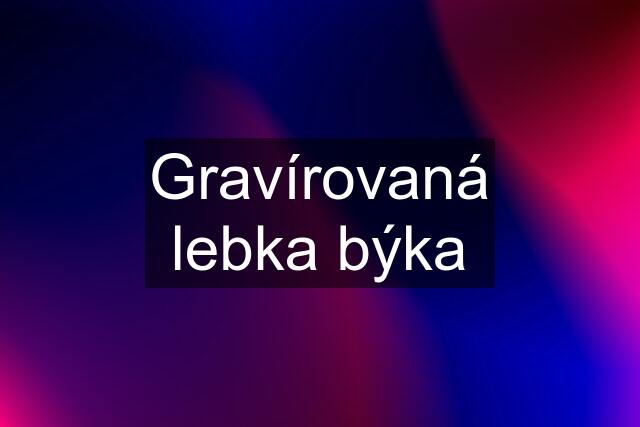 Gravírovaná lebka býka