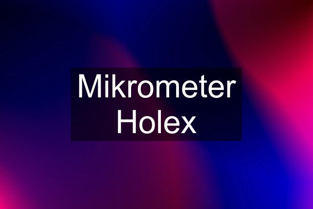 Mikrometer Holex