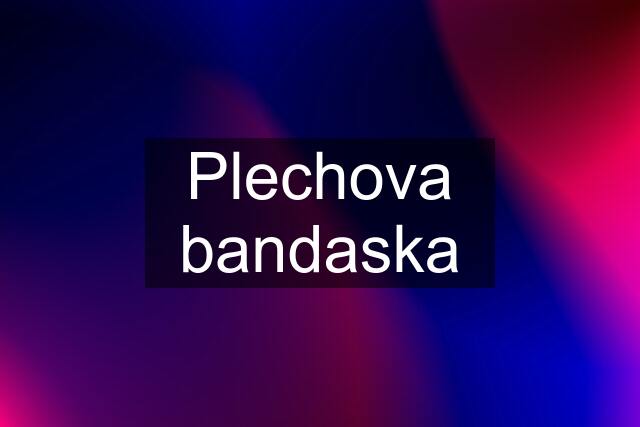 Plechova bandaska