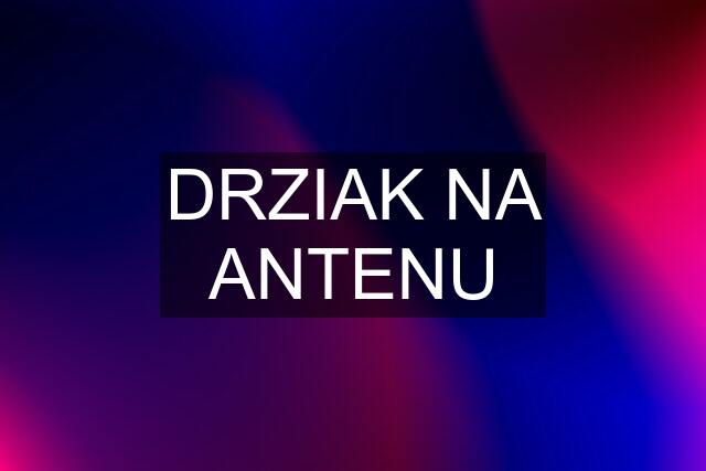 DRZIAK NA ANTENU