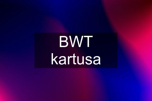 BWT kartusa