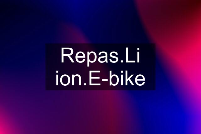  ion.E-bike