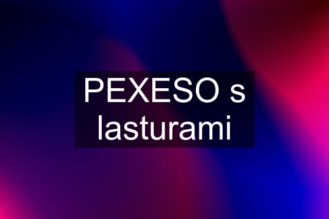 PEXESO s lasturami