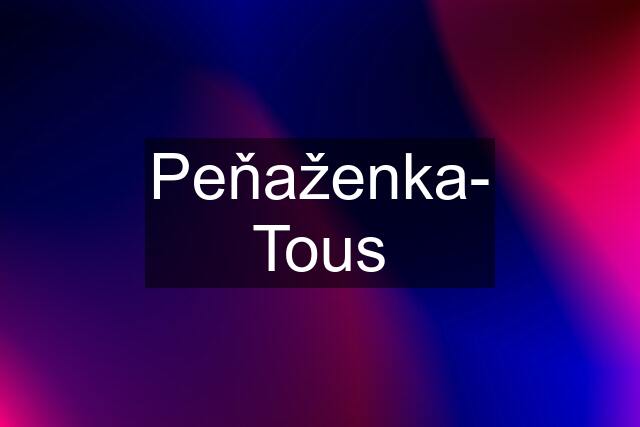 Peňaženka- Tous