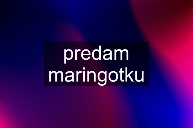 predam maringotku