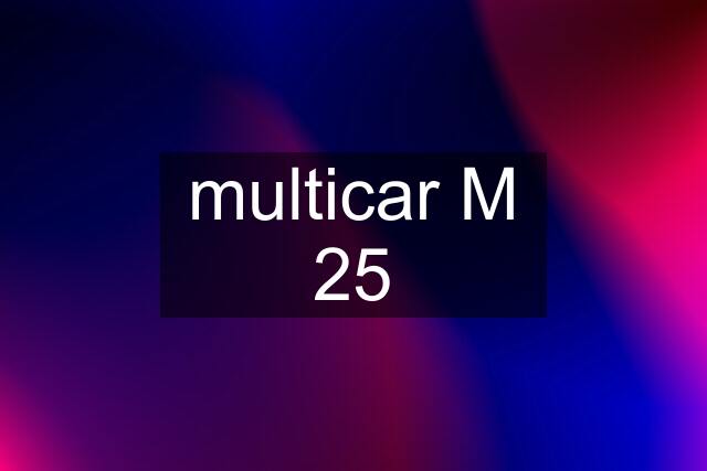 multicar M 25