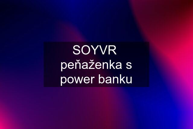 SOYVR  peňaženka s power banku