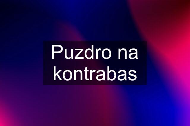 Puzdro na kontrabas