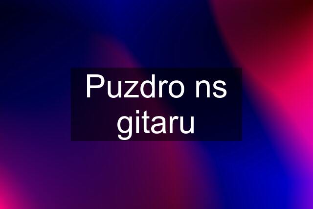 Puzdro ns gitaru