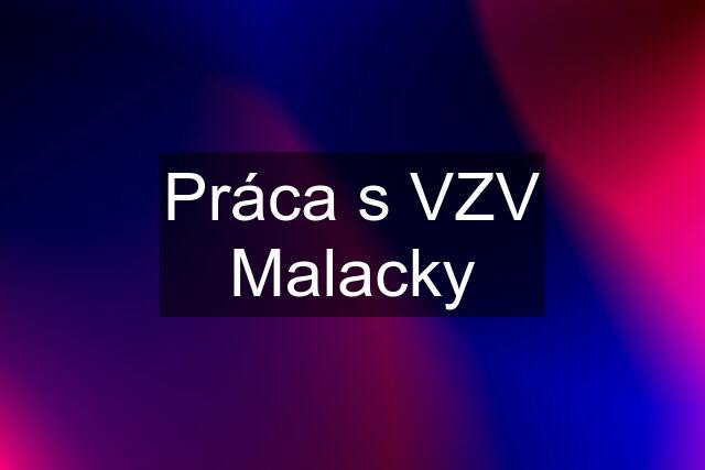 Práca s VZV Malacky